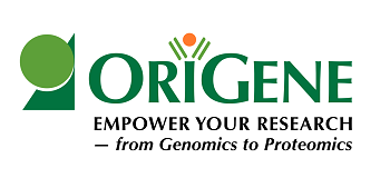 OriGene Technologies Inc